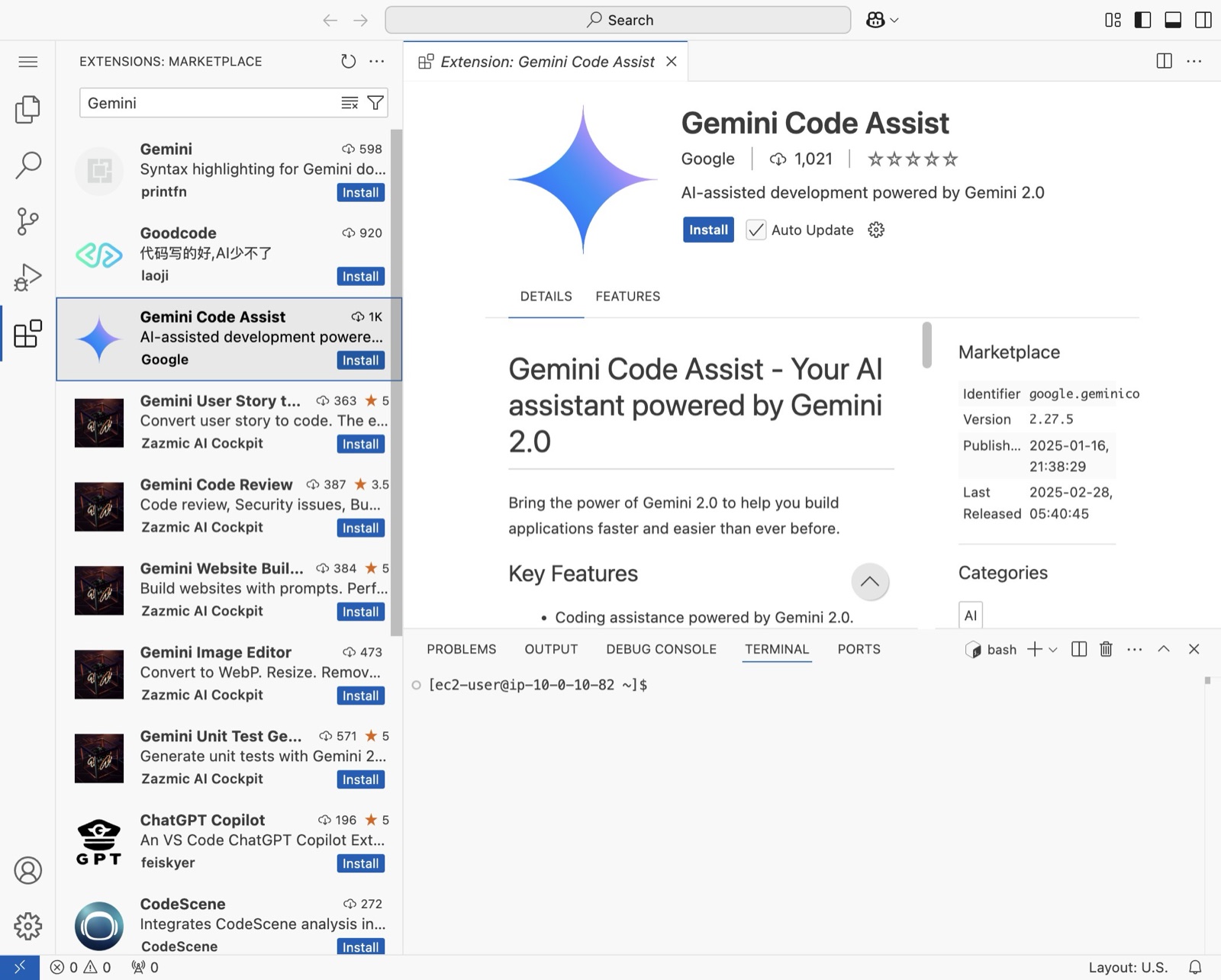 Install an AI Coding Assistant, step 4